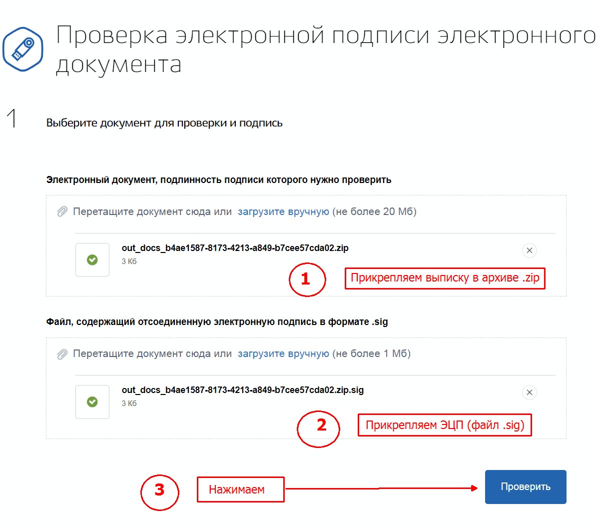 Выписку из егрн с электронной подписью не принимают