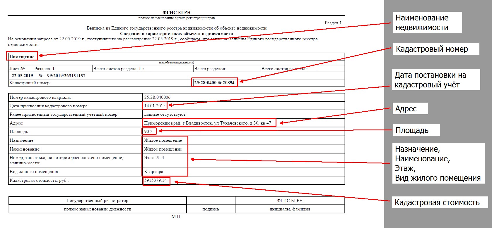 Кадастровый помещение. Кадастровый номер в выписке ЕГРН. Кадастровый номер земельного участка в выписке ЕГРН. Кадастровый номер это номер выписки из ЕГРН. Дата выдачи выписки ЕГРН.